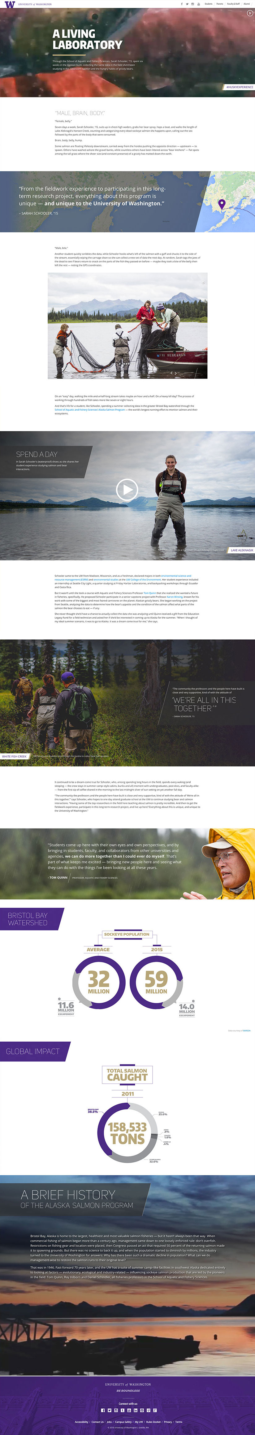 alaska salmon project full site design